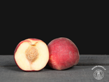 Le 5 - Fruits et Légumes