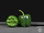 Le 5 - Fruits et Légumes