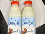 Lait de chamelle 500ml