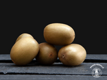 Kiwi jaune gros calibre - Lot de 5