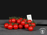 Tomates cerises Rabelais – À la grappe