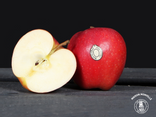 Pomme Royal Gala – À l’unité