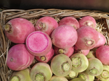 Radis pink meat