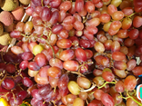 Raisins rose sans pépins