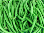 Haricots verts cueillis mains
