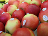 Pommes Elstar Grand calibre 170/200