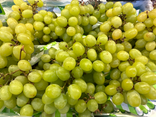 Raisin blanc sans pépin
