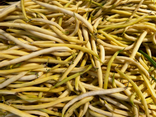Haricots Beurre - Cueilli main