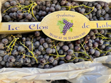 Raisins noirs Muscat de Hambourg BIO