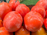 Kaki Rojo brillante