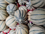 Melon FLEUR DE MIEL