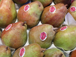 Poires Sweet Sensation