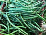 HARICOT Vert BIO