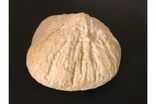 Gaperon