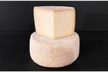 Tomme Corse