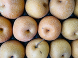 Nashi pomme/poire