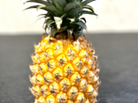 Ananas Victoria