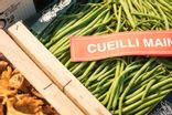 Haricot vert