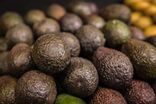 Avocat
