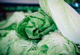 Romaine