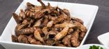 Crevettes Grises cuites
