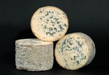 Fourme d'Ambert fermière AOP