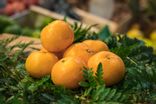 mandarine orri