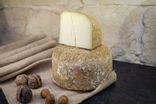 Tomme du Caussenard