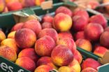 Nectarines