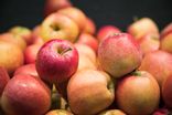 Pomme Juliet bio