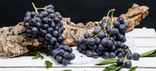 Raisin Muscat AOP
