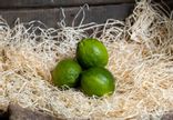 Citron vert