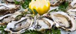 Huîtres ouvertes mises sur plat + 1 citron