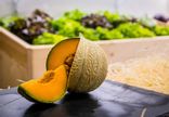 melon gros