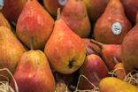 Poire Williams
