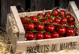 Tomate-cerise grappe