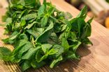 Menthe