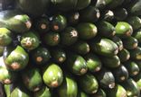 Courgette
