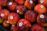 Nectarine Jaune