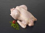 Poulet