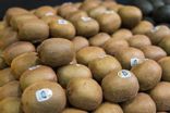 Kiwi Gold BIO