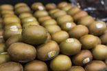 Kiwi Jaune