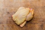 Coquelet
