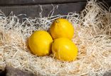 Citron jaune