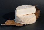 Mothais sur feuille