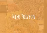 Mini Poivron