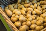 Pomme de terre grenaille