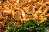 Girolles