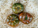 Tomates Noire de Crimée