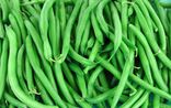 Haricots verts